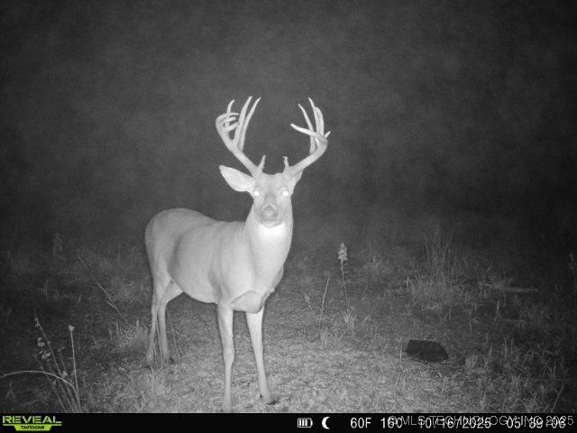 78 SE Lenapah Street, Skiatook, OK 74070