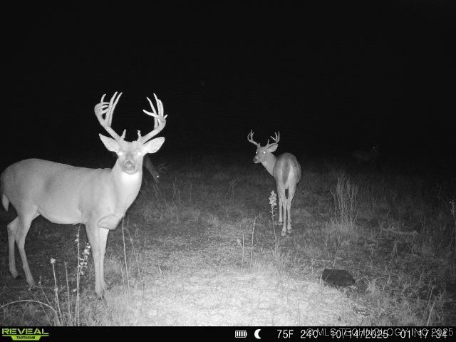 78 SE Lenapah Street, Skiatook, OK 74070