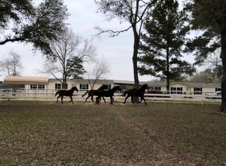 26427 1/2 Dobbin Huffsmith Rd Road, Magnolia, TX 77354