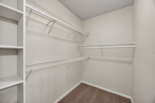 3425 7th Street, Sachse, TX 75048