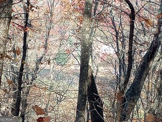 0 LOT 25 Alex Mountain, Sky Valley, GA 30537