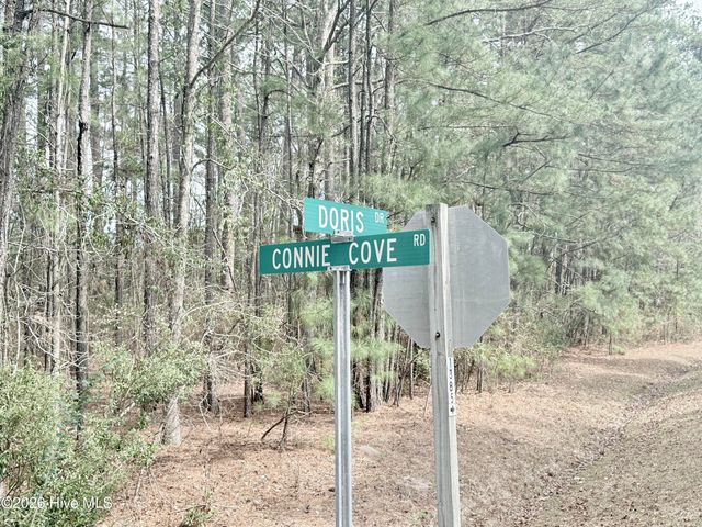 00 Doris Drive, Oriental, NC 28571