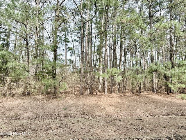 00 Doris Drive, Oriental, NC 28571