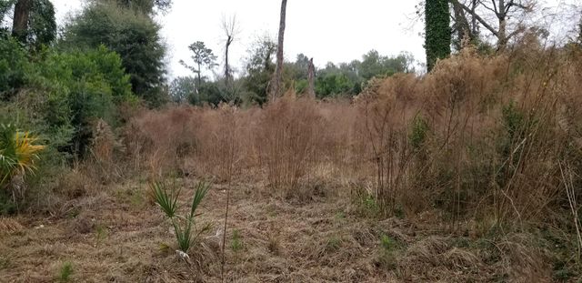 812 N Lemacks Street, Walterboro, SC 29488