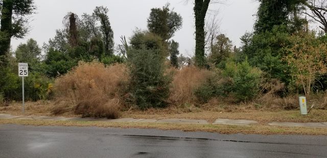 812 N Lemacks Street, Walterboro, SC 29488