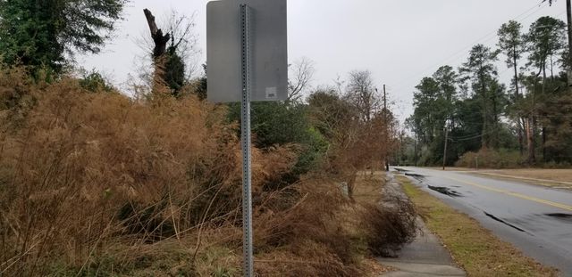 812 N Lemacks Street, Walterboro, SC 29488