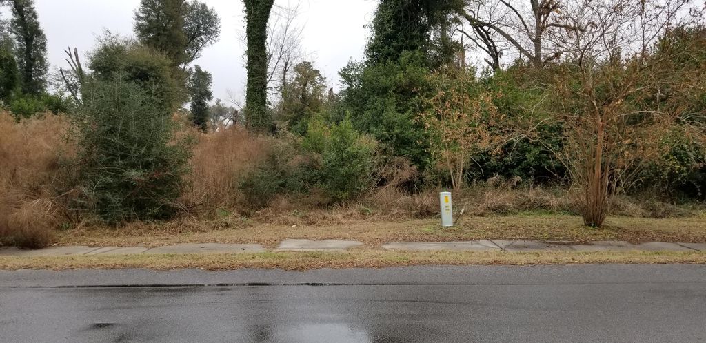 812 N Lemacks Street, Walterboro, SC 29488