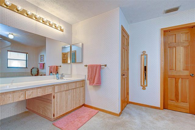 3522 SPRINGVILLE DRIVE, Valrico, FL 33596