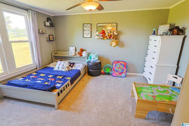 13000 TANNEHILL PARKWAY, Mccalla, AL 35111