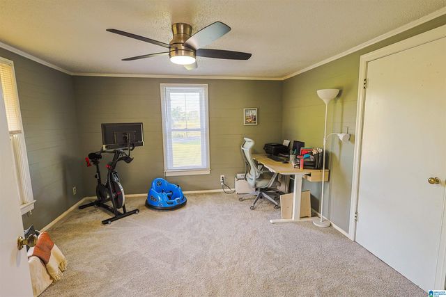 13000 TANNEHILL PARKWAY, Mccalla, AL 35111