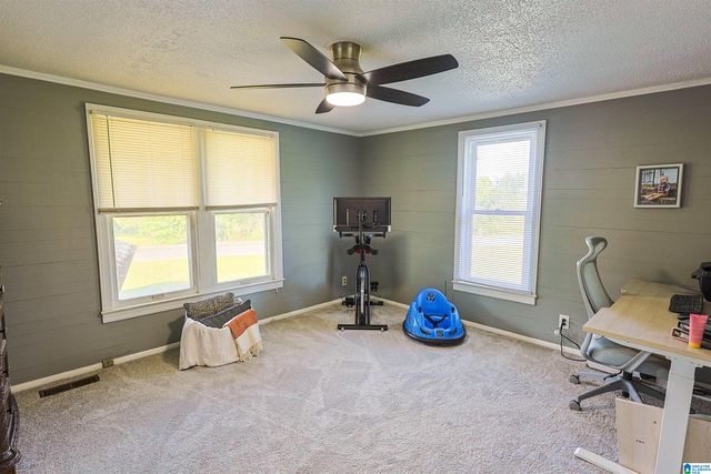 13000 TANNEHILL PARKWAY, Mccalla, AL 35111
