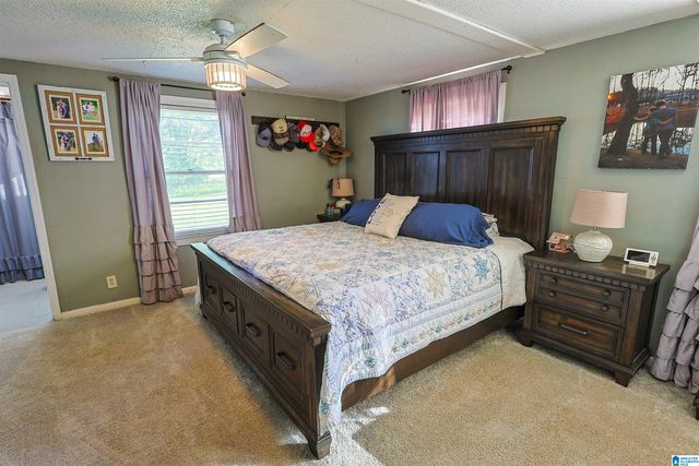 13000 TANNEHILL PARKWAY, Mccalla, AL 35111
