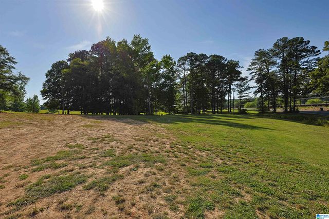 13000 TANNEHILL PARKWAY, Mccalla, AL 35111