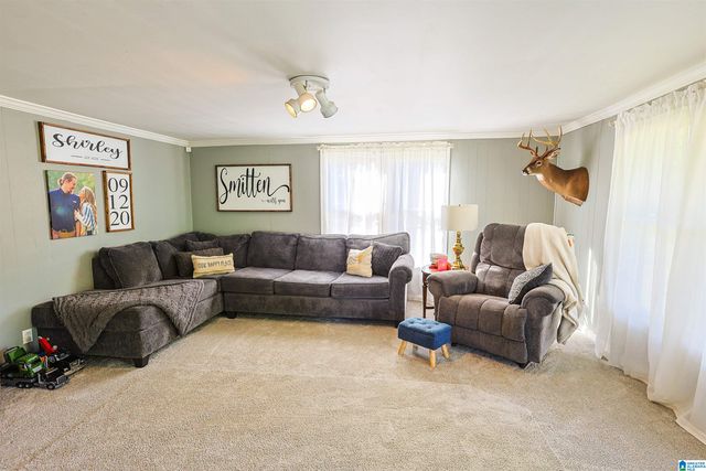 13000 TANNEHILL PARKWAY, Mccalla, AL 35111