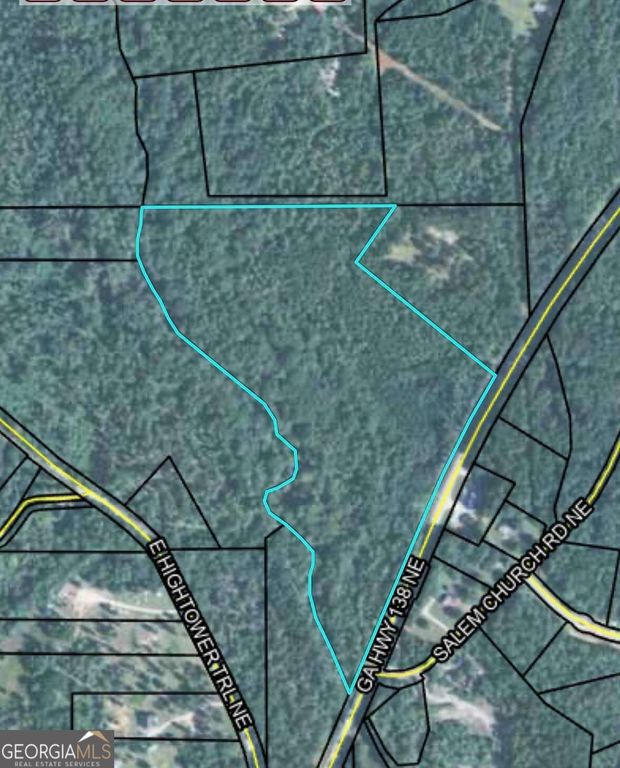0 NE Salem Church Road, Conyers, GA 30013 — photo 2