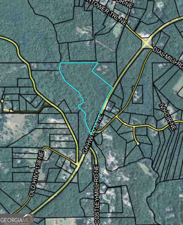 0 NE Salem Church Road, Conyers, GA 30013 — photo 4