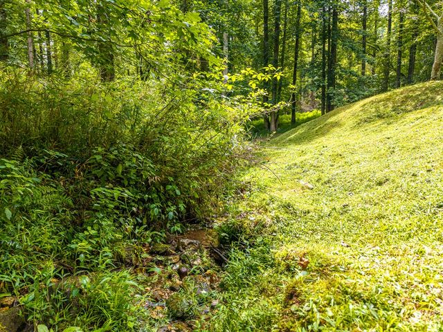 120 Shenendoa Drive, Ellijay, GA 30540