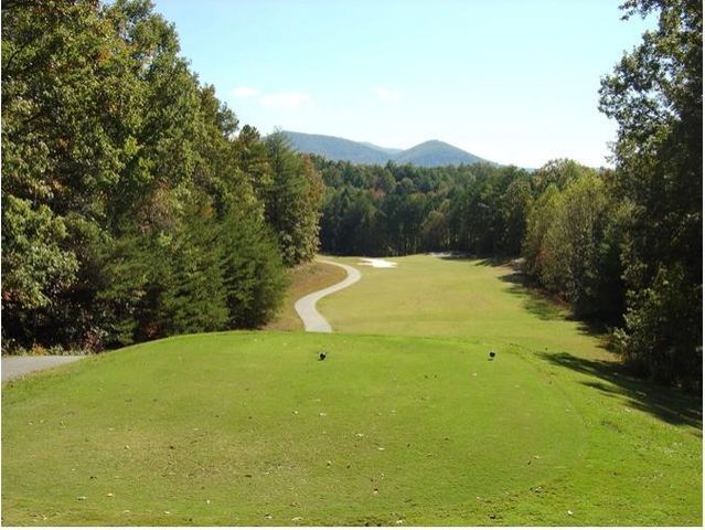 120 Shenendoa Drive, Ellijay, GA 30540