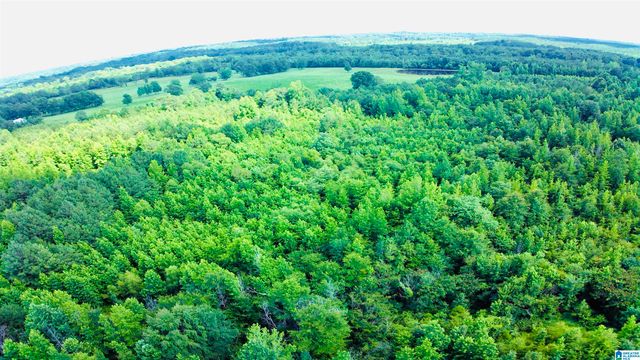 4035 COUNTY ROAD 60, Eutaw, AL 35462