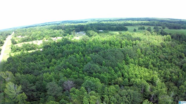 4035 COUNTY ROAD 60, Eutaw, AL 35462