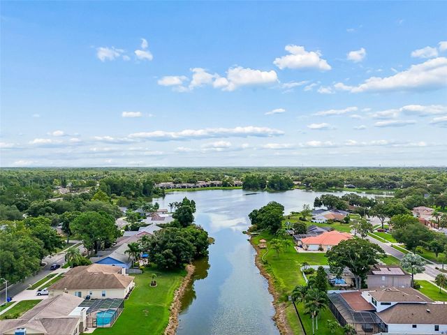 16509 ROUND OAK DRIVE, Tampa, FL 33618