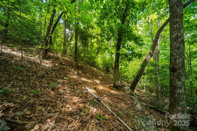 00000 Foster Hill Drive 3, Hendersonville, NC 28739
