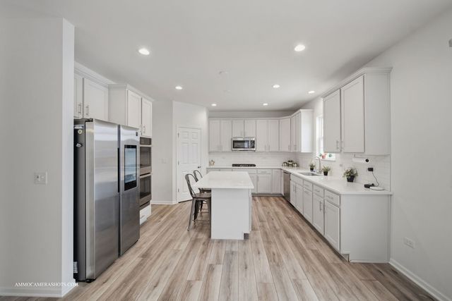 26305 W Milestone Drive, Plainfield, IL 60585