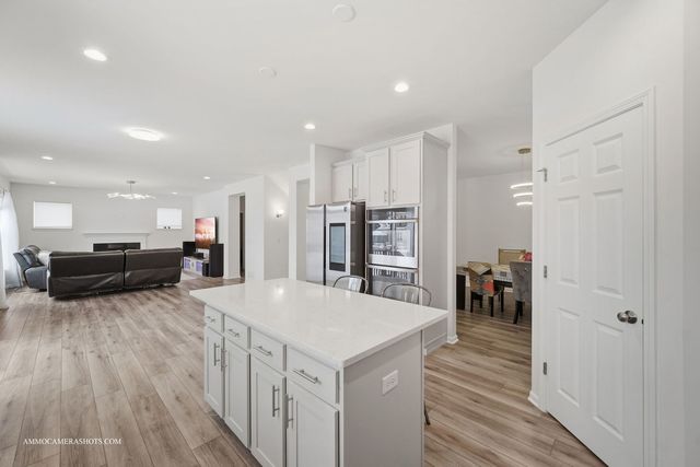 26305 W Milestone Drive, Plainfield, IL 60585