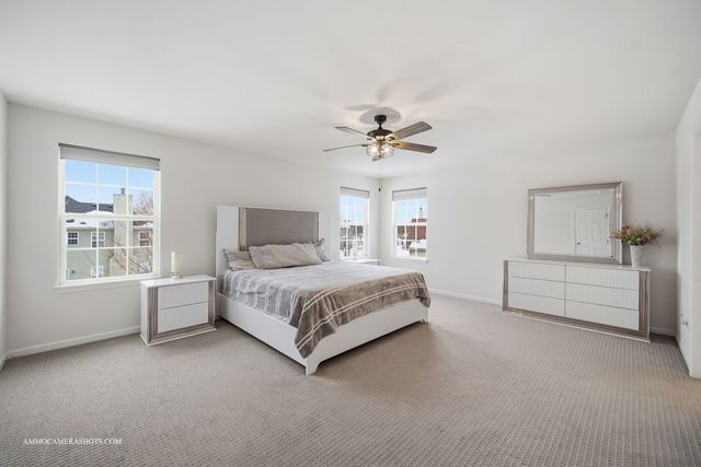 26305 W Milestone Drive, Plainfield, IL 60585