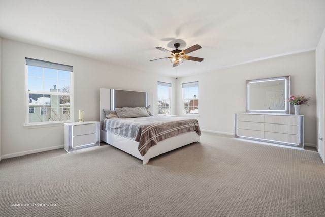 26305 W Milestone Drive, Plainfield, IL 60585