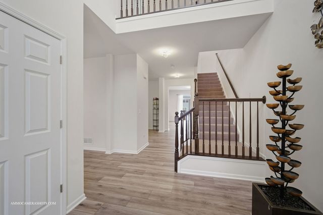 26305 W Milestone Drive, Plainfield, IL 60585