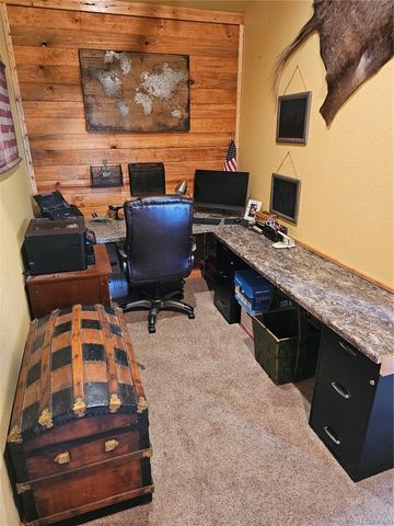 133 Gold Trail, Fairplay, CO 80440