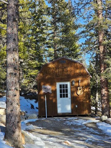 133 Gold Trail, Fairplay, CO 80440