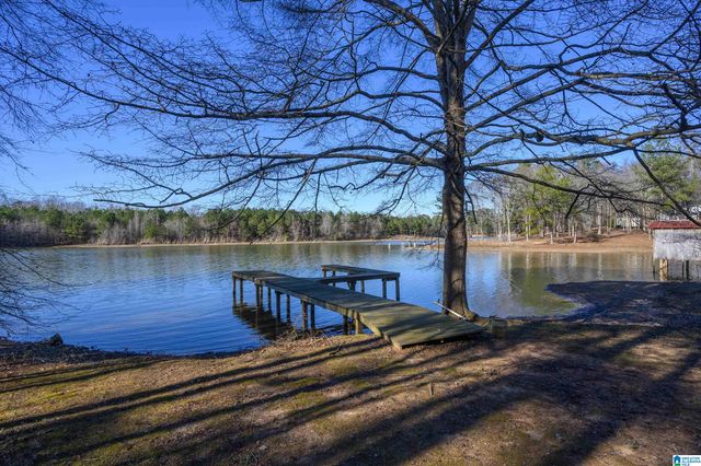 20 SEDDON POINT, Pell City, AL 35128