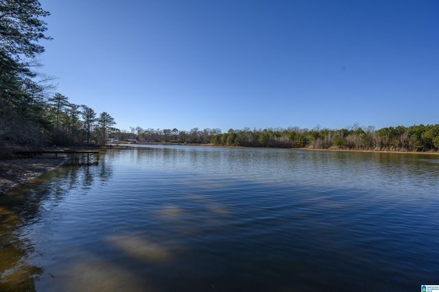 20 SEDDON POINT, Pell City, AL 35128