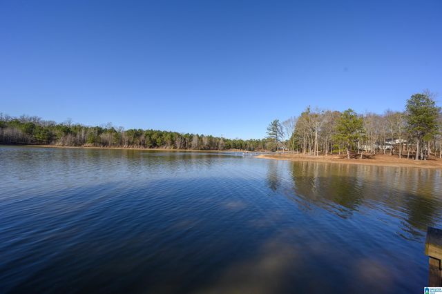 20 SEDDON POINT, Pell City, AL 35128