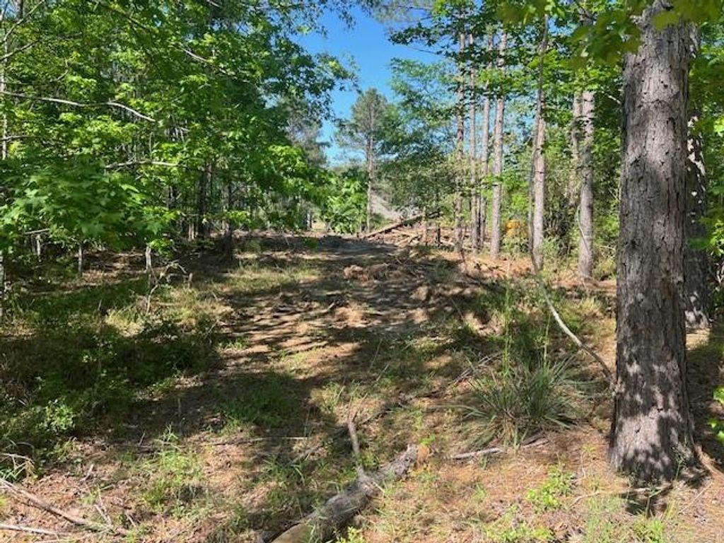 LOT 65 & 73 Eastgate Park, West Livingston, TX 77351