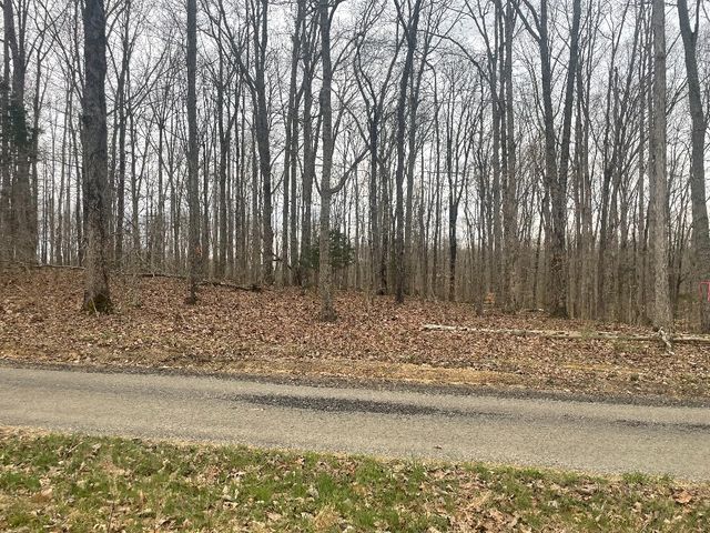 133 Shelton Cemetery Road, Cumberland Furnace, TN 37051