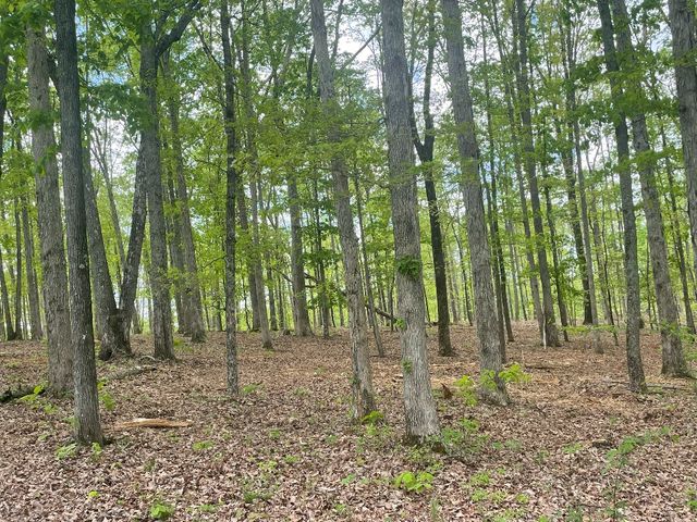 133 Shelton Cemetery Road, Cumberland Furnace, TN 37051