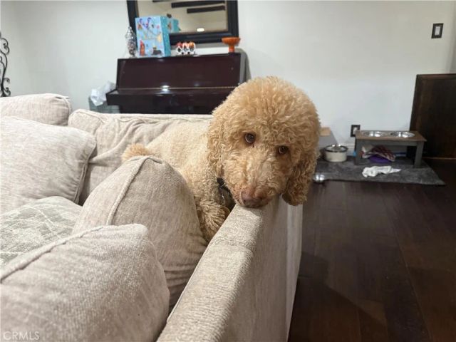 716 N GRAND D-3, Covina, CA 91724