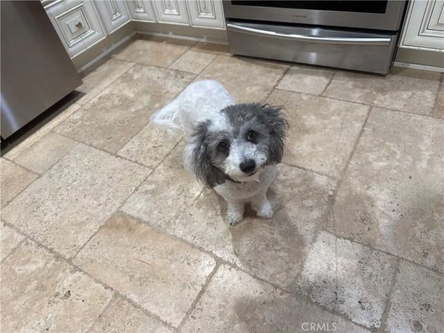 716 N GRAND D-3, Covina, CA 91724