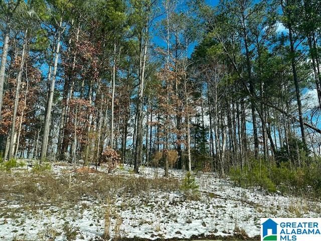 1795 GLASSCOTT TRAIL, Hoover, AL 35226