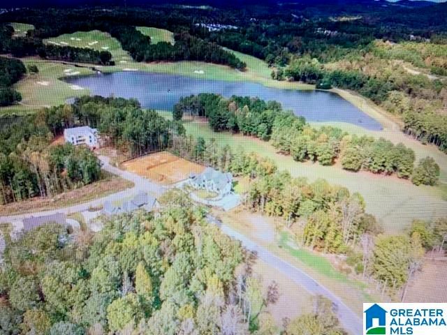 1795 GLASSCOTT TRAIL, Hoover, AL 35226