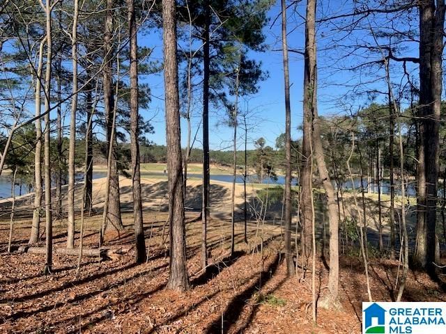 1795 GLASSCOTT TRAIL, Hoover, AL 35226