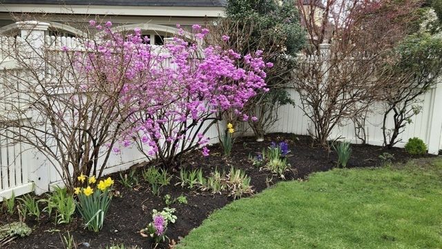 12 Bigelow Cir 2, Boston, MA 02135