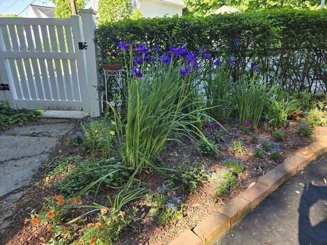 12 Bigelow Cir 2, Boston, MA 02135