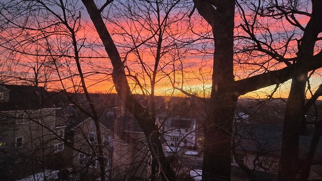 12 Bigelow Cir 2, Boston, MA 02135