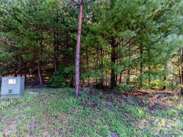 0 Elkton Court W 138, Mill Spring, NC 28756