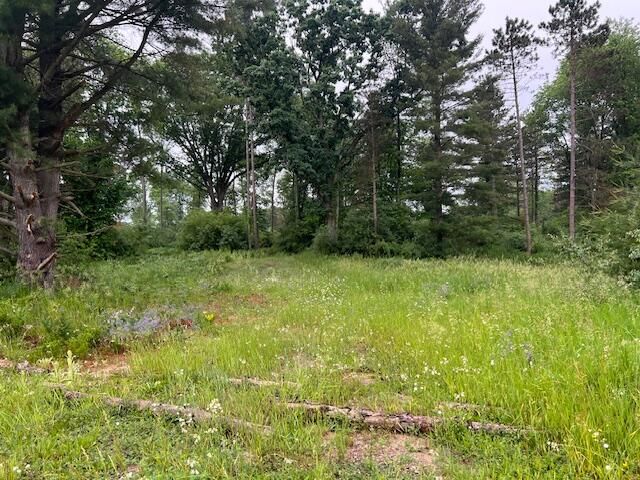 2714 E Hawley Road, Custer, MI 49405