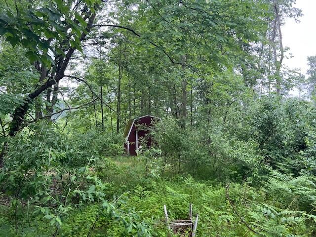 2714 E Hawley Road, Custer, MI 49405